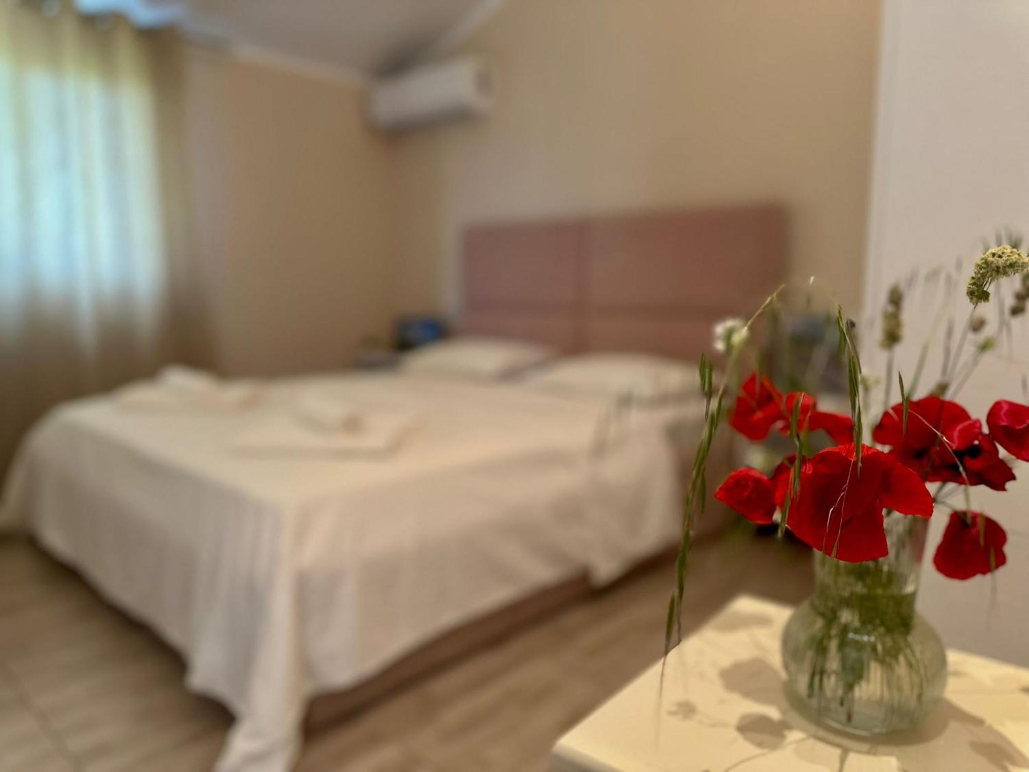 Hotel Villa Ballkan Grilë Εξωτερικό φωτογραφία